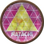 hatachi( - tachi) Raver маркер (габарит) G Golf товары другой (bh6025-64) розовый наличие 