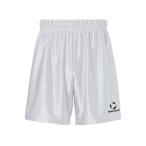  Descente bare- брюки SV6SHP02M_WH00_O