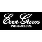 エバーグリーン(EVERGREEN) ステッカー エバーグリーンボートディカル M ホワイト