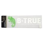 エバーグリーン(EVERGREEN) B-TRUE ボートディカル L ホワイト