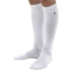 (リガード)REGUARD CG SOCKS 33 CG2 WHT ホワイト L