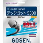 ゴーセン(GOSEN) テックガット テックガット5300 (ソフトテニス用) ナチュラル SS603NA