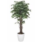 大型光触媒人工観葉植物ベンジャミンリアナ1.8mのポイント解説