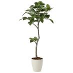 光触媒 観葉植物 フェイクグリーン 大型　ベンガル菩提樹 1.35m 【インテリアグリーン】