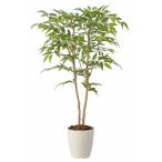 光触媒付きフェイクグリーン ソヨゴ1.0mを徹底的に解説します