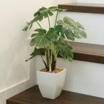 フェイクグリーン 人工観葉植物 インテリア 光触媒 観葉植物 モンステラポット (お見舞いにも) あすつく・条件付