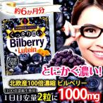 くっきり濃いビルベリー＆ルテイン（栄養機能食品：ビタミンA） 360粒 約6か月分 送料無料（ヤマトネコポス・ポスト投函・日時指定不可）サプリメント