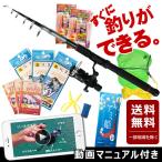 釣竿セット サビキ Aタイプ 300X 3m 釣り竿 初心者用 釣具セット ロッド リール セット 釣り竿セット サビキ釣り 初心者 サビキセット