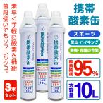 送料無料 酸素缶 3本セット 大容量 合計30L 酸素純度95％  携帯用 酸素 吸入 勉強 リフレッシュ 登山 ジョギング 運動 スポーツ O2 ◇ 10L酸素DL×3本