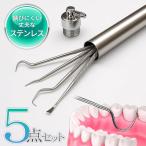  уход за зубами 5 позиций комплект из нержавеющей стали место хранения с футляром зуб камень удаление собственный зуб камень брать .. внутри уход yani брать . зуб неприятный запах изо рта предотвращение /60N* портативный уход за зубами 