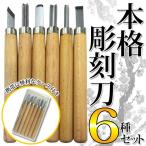 送料無料/メール便 本格 彫刻刀 6本セット 専用ケース入 小丸刀/丸刀/平刀/切出刀/三角刀/平丸刀 木製ハンドル 文房具 工具 彫刻 木工 教材 ◇ 彫刻刀セット