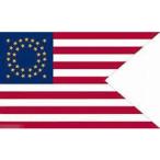 海外限定 国旗 アメリカ アーミー 米国陸軍 USA 特大フラッグ