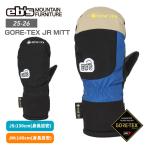 ebse винт GORE-TEX JR MITT Gore-Tex Kids Junior рукавица перчатка 3re year сноуборд 