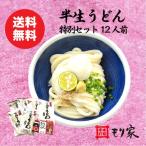 送料無料　半生うどん特別セット１２人前　讃岐うどん　さぬきうどん　半生