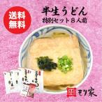 送料無料　半生うどん特別セット8