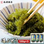 海ぶどう 100g×3 塩水漬け 常温 沖縄産 メール便 取り寄せ クビレズタ サラダ 海鮮丼 おつまみ 水で戻すだけ