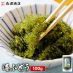 海ぶどう 100g 塩水漬け 常温 沖縄産 メール便 取り寄せ クビレズタ サラダ 海鮮丼 おつまみ 水で戻すだけ
