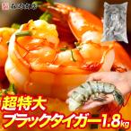 超特大 ブラックタイガー 無頭エビ 