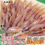 ほたるいか 蛍いか 生ホタルイカ 生食用 60尾(20尾ｘ3Ｐ) 珍味 刺身 食品 海鮮 ギフト クーポン 父の日 母の日遅れてごめんね