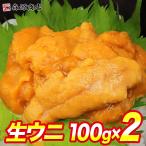 訳あり 生うに 100g×2パック 生 ウニ うに 完全無添加 みょうばん不使用 お刺身 雲丹 冷凍 送料無料 冷凍便