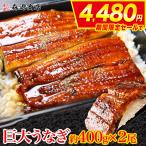 うなぎ 驚く大きさ 巨大うなぎ蒲焼き 2尾×約400g 計約800g 山椒たれ付き ウナギ 鰻 蒲焼き グルメ 食品 海鮮 ギフト クーポン 父の日 母の日遅れてごめんね