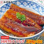 ショッピングうなぎ うなぎ 福袋 5尾 国産うなぎ  150g×5本 鰻蒲焼き 山椒 タレ付き ウナギ 食品 海鮮 ギフト クーポン 新生活応援 母の日 送料無料 うな飯