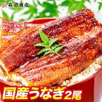 ショッピングうなぎ 父の日 国産うなぎ 2尾 約150g ×2 鰻 うなぎ ウナギ 蒲焼 かば焼き 土用の丑の日 スタミナ 冷凍便 食品 海鮮 ギフト クーポン うな飯 父の日 母の日遅れてごめんね