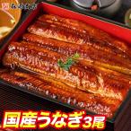 ショッピングうなぎ 父の日 国産うなぎ 3尾 約150g ×3 鰻 うなぎ ウナギ 蒲焼 かば焼き 土用の丑の日 スタミナ 冷凍便 食品 海鮮 ギフト クーポン うな飯 父の日 母の日遅れてごめんね