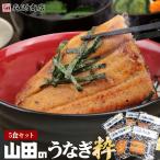 ショッピングうなぎ 鹿児島県産 山田のうなぎ 粋 5食 全てオーガニック 無投薬 蒲焼き 鰻 ウナギ 山田水産 ギフト お取り寄せグルメ 食品