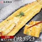 手焼き 白焼きうなぎ 1尾 100g以上 国産 九州産 鰻 ウナギ