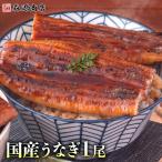 うなぎ 鹿児島県産 1尾 125g 国産 蒲焼き 長焼き 無投薬 焼き上げ 無頭 1本