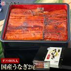 うなぎ 鹿児島県産 2尾 ギフトBOX入 125g×2 化粧箱入 国産 蒲焼き 長焼き 無投薬 焼き上げ 無頭 2本