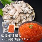 特大牡蠣といくらセット 特大2Lかき 牡蠣 カキ トラウトサーモン 訳あり 小粒イクラ 食品 海鮮 ギフト クーポン 父の日