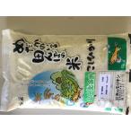 小田北条米コシヒカリ5kg　令和４年産　新米