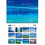 沖縄 宮古島 2026年 壁掛けカレンダ