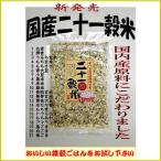 国内産原料使用　二十一穀米 【メール便送料無料】