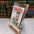 8-1 солнце . удар . no. 4 шт .....