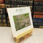 8-1 север. ..* Akita -Part2- автограф. подобный вписывание есть 