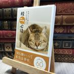 8-1lak?. сырой ..hinto. видеть ....nya сердце . Kato утро .060450