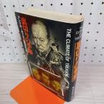  обратная сторона порез .. сезон and Roo * Boyle черепаха рисовое поле .. первая версия 260014