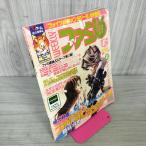  еженедельный Fami expert 1999 год 2 месяц 26 день No.532 эпоха Heisei 11 год поломка глаз большое количество есть 090090