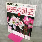 [ б/у ] NHK телевизор текст хобби. садоводство 2009 год 3 месяц номер новый товар вид . очарование выше амариллис 190170