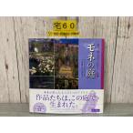 3-^mone. двор цветок .. язык .jiveru колено. 4 сезон Vivienne russell 2005 год эпоха Heisei 17 год первая версия запад . книжный магазин obi трещина есть 