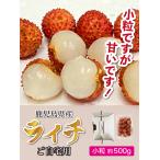 [ полная распродажа ][ маленький шарик ] сырой laichi местного производства ( Кагосима ) производство распродажа . дом для [ маленький шарик ] примерно 500g