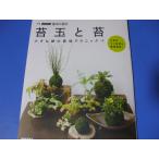  кокэдама . мох маленький зеленый. культивирование technique 