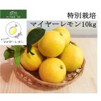 国産レモン・マイヤーレモン10kg...