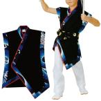 yo... futoshi тамбурин без тарелочек костюм без рукавов ребенок . небо большой 5 лет ~6 лет B9844