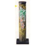 .[ удар сверху фейерверк ]