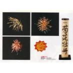  фейерверк удар . вверх фейерверк хризантема ..