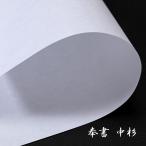 . документ бумага средний криптомерия {10 листов } механизм . японская бумага совершенно белый Ehime ..303 x 424mm